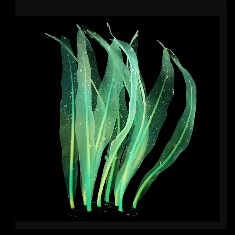 Nuoto artificiale Glow Kelp Acquario Decorazione Piante acquatiche Acqua Erba Acquario Ornamenti Accessori paesaggistici subacquei