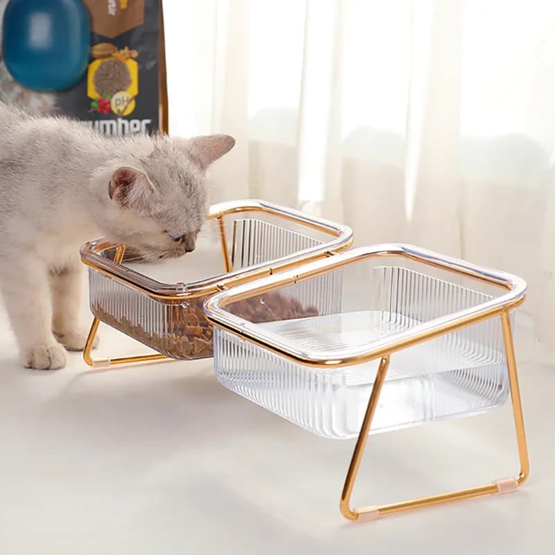 Ciotole per alimenti per animali domestici rialzate antiscivolo per cani e gatti Design inclinato per un'alimentazione confortevole per una migliore digestione Ceppo al collo ridotta