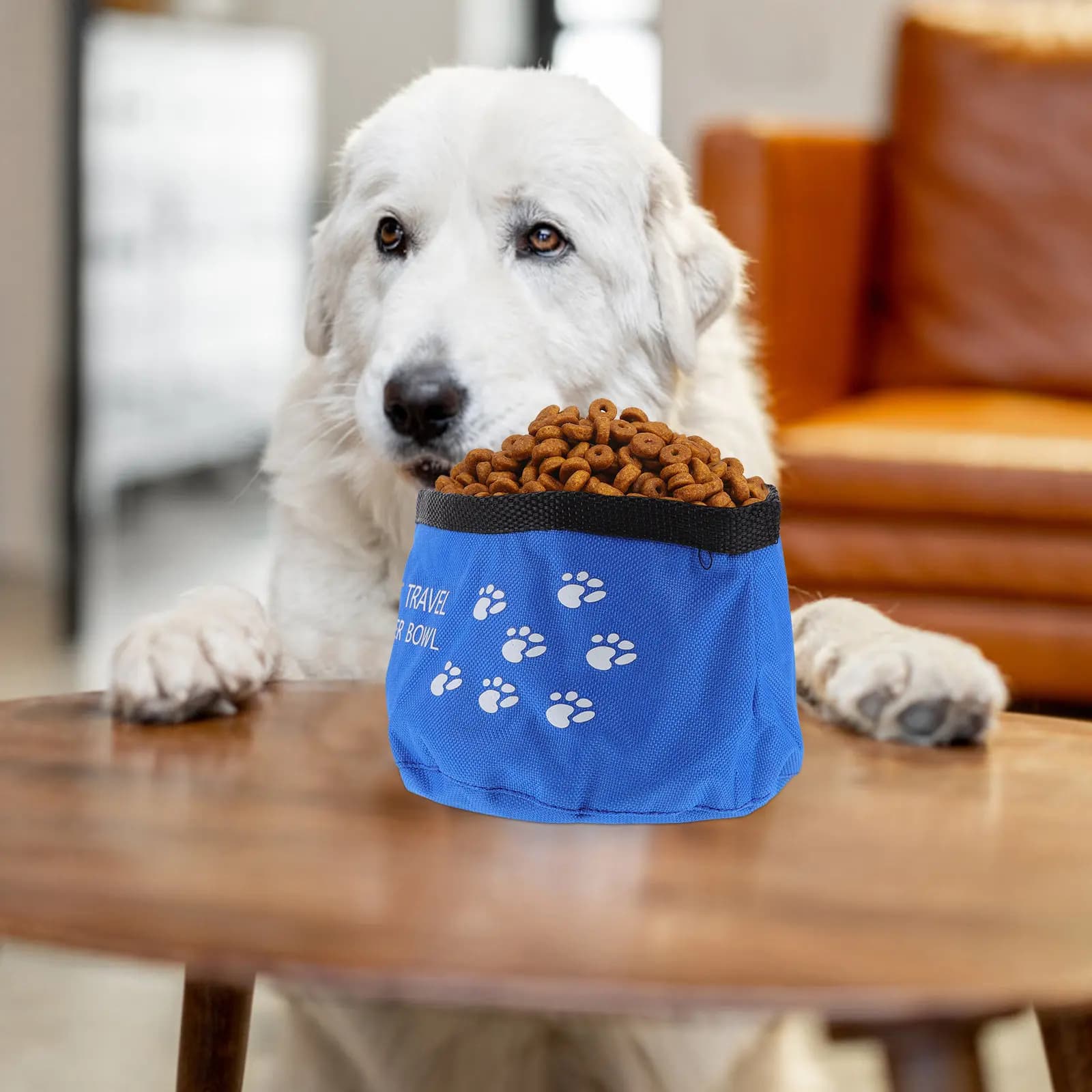 2Pcs Expandable Dog Bowl Food Grade Fabric Pet Bowl Waterproof Travel Container for Cat Dog Feeding on The Go