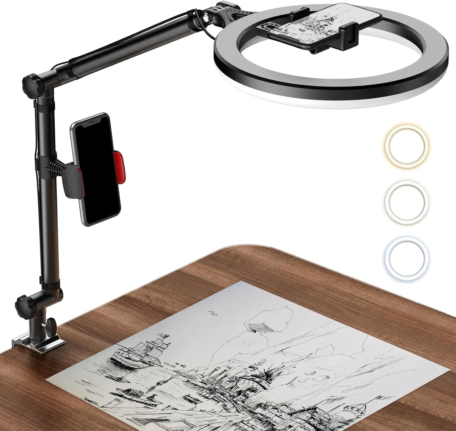 Luce ad Anello con Supporto e Porta Telefono, Luce ad Anello USB da 10 Pollici per Scrivania, Supporto per Fotocamera con Luce ad Anello, Lampada da Scrivania