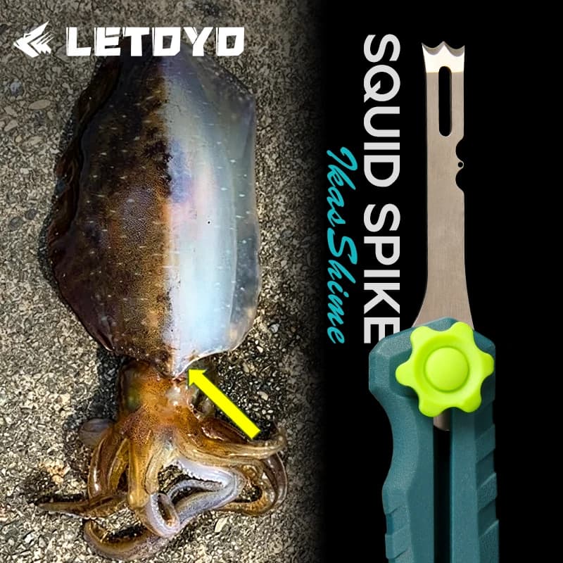 Coltello per Calamari in Acciaio Inox, Tagliafilo Multifunzione, Attrezzo da Pesca, Forbici per Lenza per Uomo, Acqua Salata e Dolce