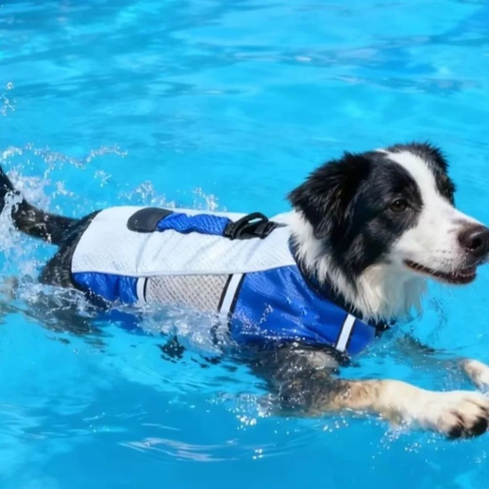 Reflective Dog Swimming Vest Breathable High Buoyancy Pet Life Preserver Safety Handle Adjustable Dog Life Jacket Boating