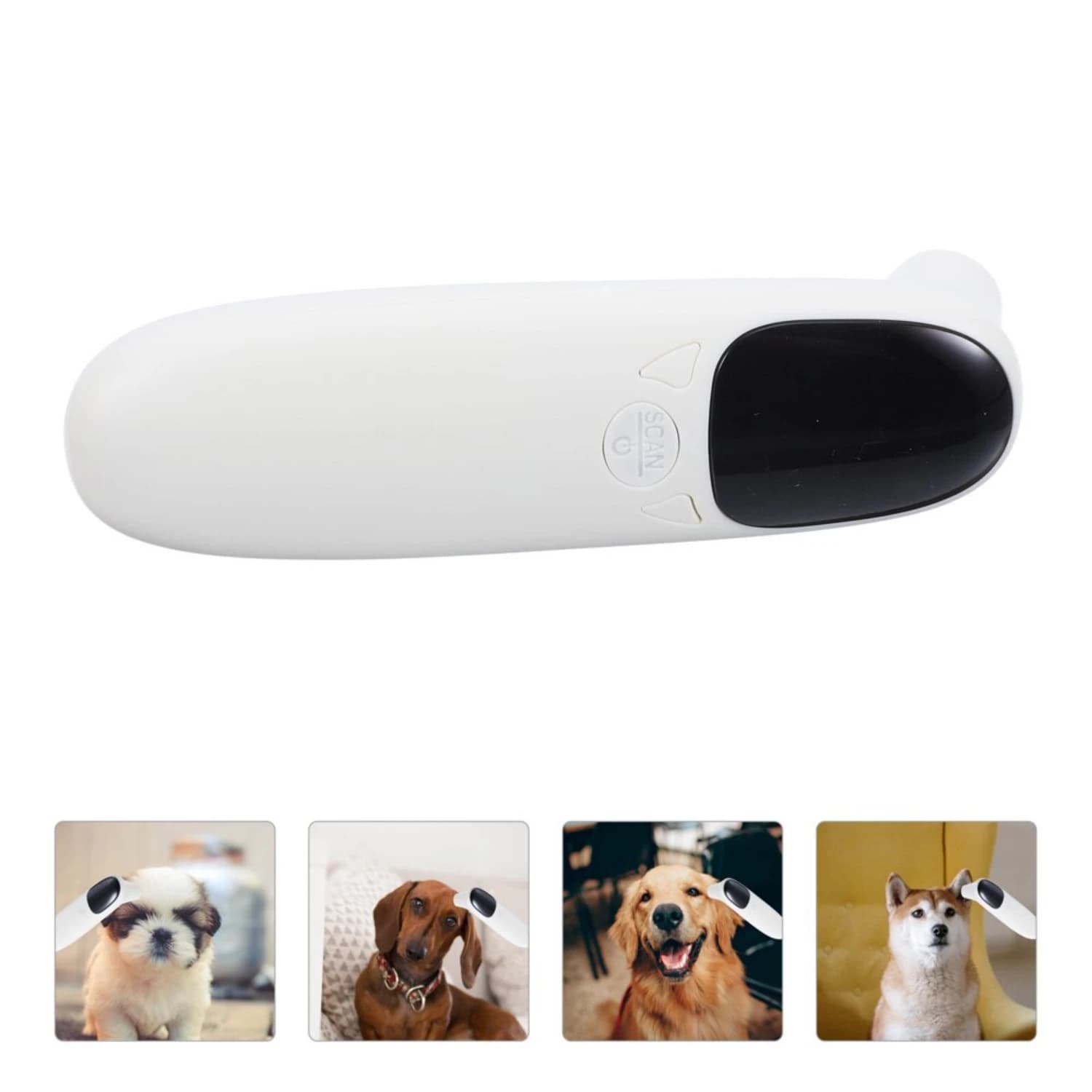 Water thermometer for cats and dogs Rechargeable domestic animals without contact