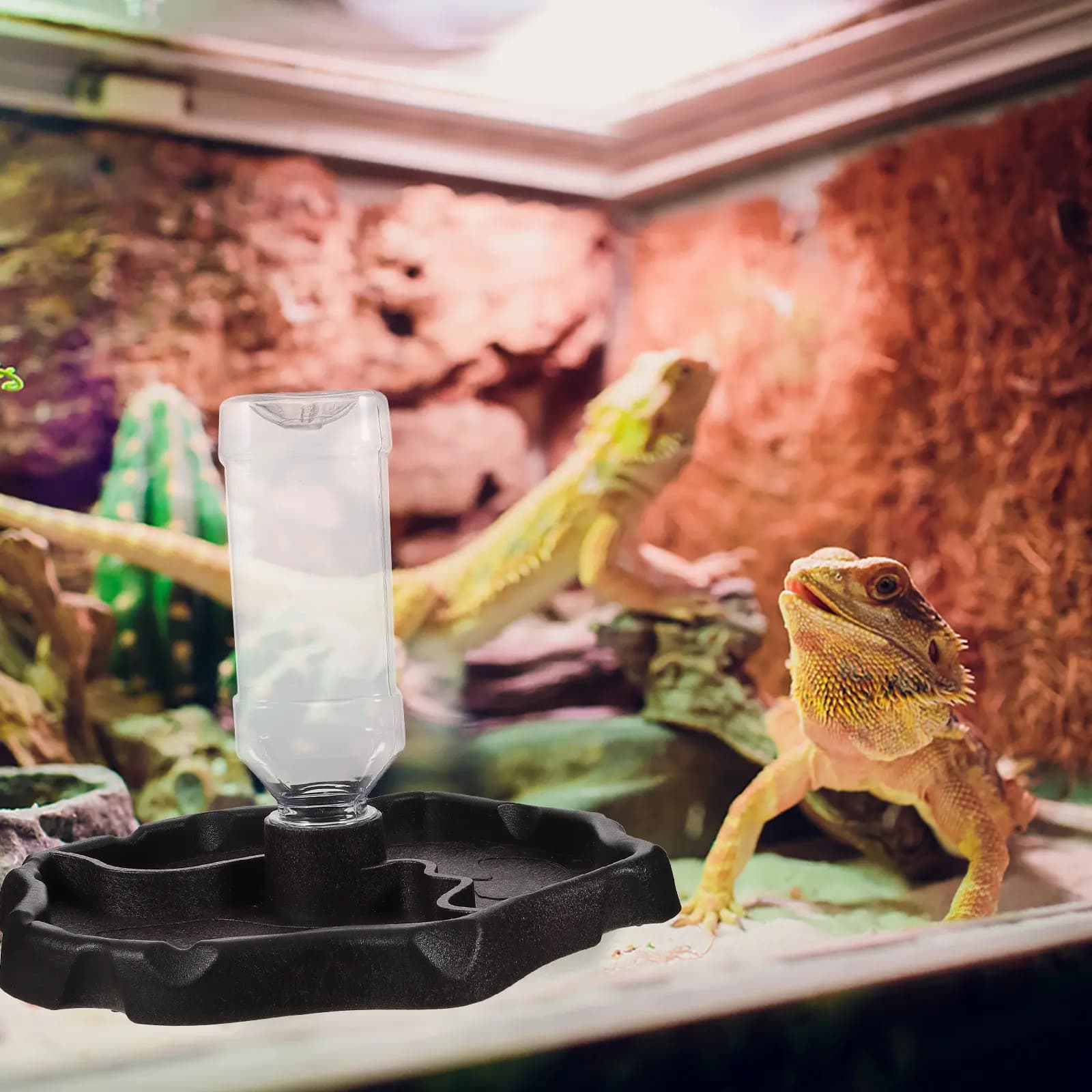 1Pcs Sturdy ABS Reptile Feeding Bowl for Lizard Turtle Scorpion Centipede Small Pet Drinking Food Container Natural Watching