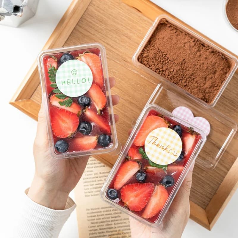 Contenitori per asporto con cerniera in plastica trasparente usa e getta da 10 pezzi, scatole per imballaggio alimentare adatte per dessert, torte, biscotti, insalata