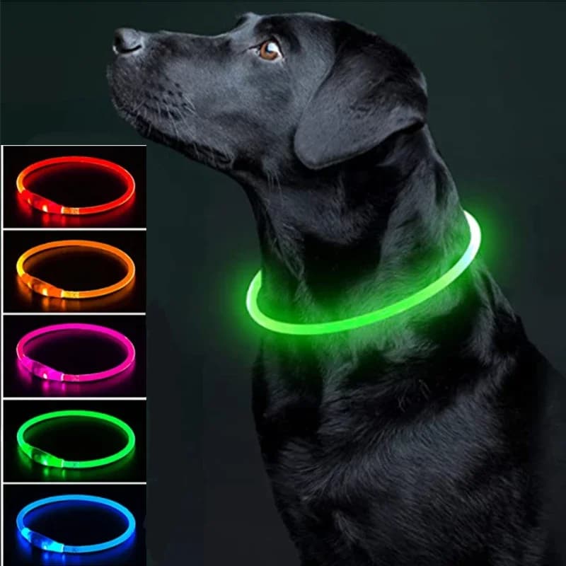 Collare luminoso per cani da compagnia a LED con collare per cani ricaricabile USB Collare per orsacchiotti Collare anti smarrimento Accessori per cani e gatti
