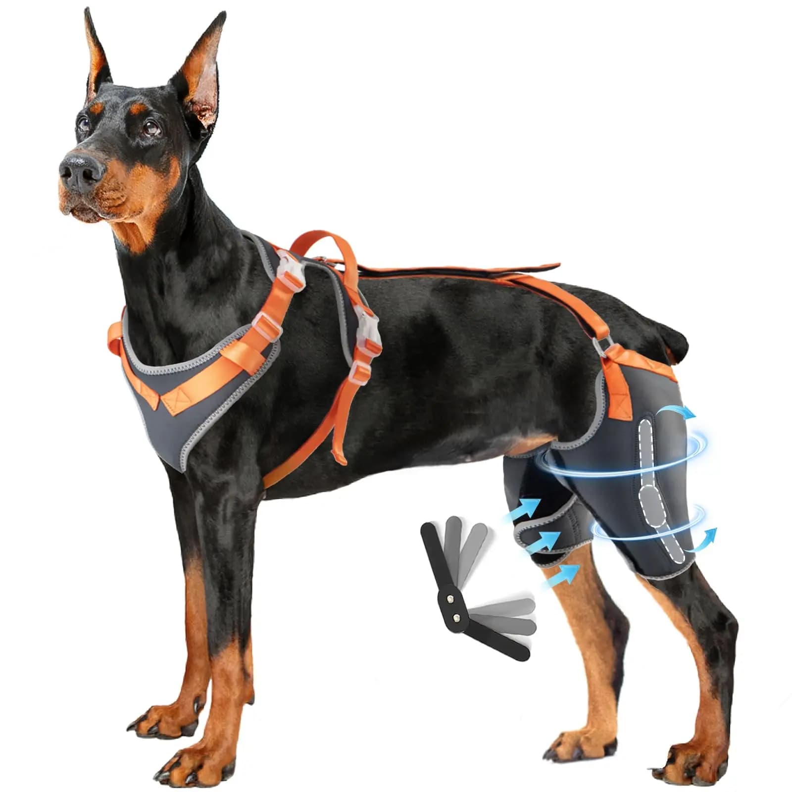Supporto per Ginocchio di Cane Tipo Tattico da Fabbrica Cinese per Lesioni ACL/CCL, con Tendina Metallica e Cerniera per Protezione del Gambe Posteriore