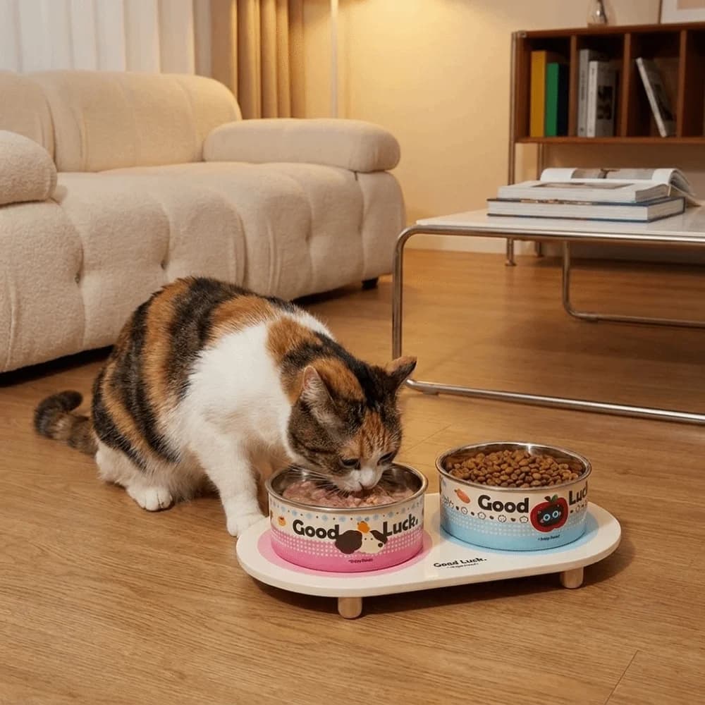 Stainless Steel Double Cat Bowl Large Capacity Neck Protection Elevated Pet Food Bowl Anti-Tip Non-Slip Pet Food Feeder