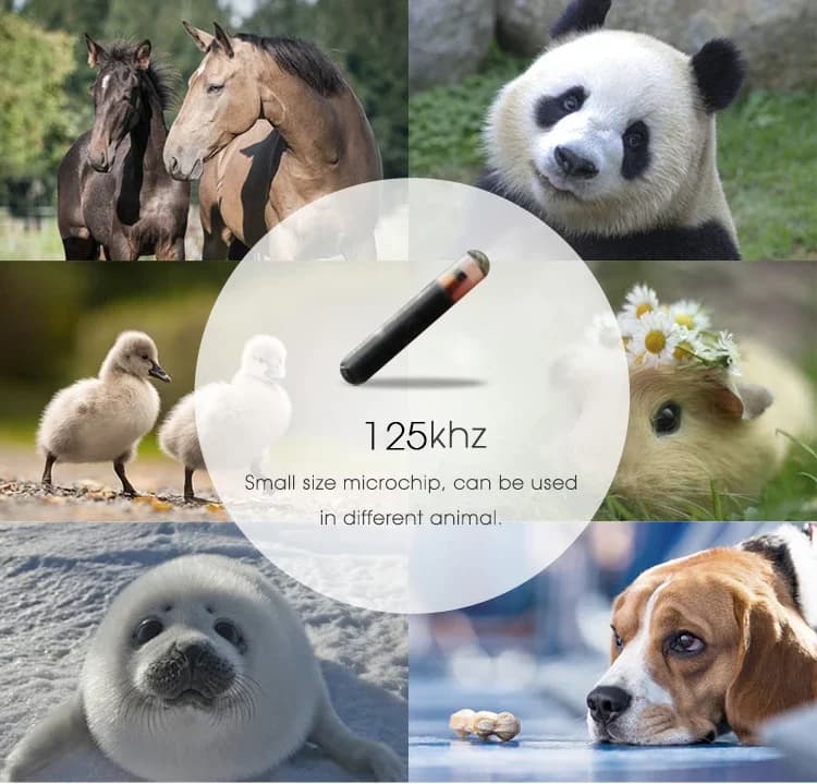 X20 Tag in vetro con chip NFC Microchip animale RFID Ntag216 da 13,56 Mhz per l'impianto