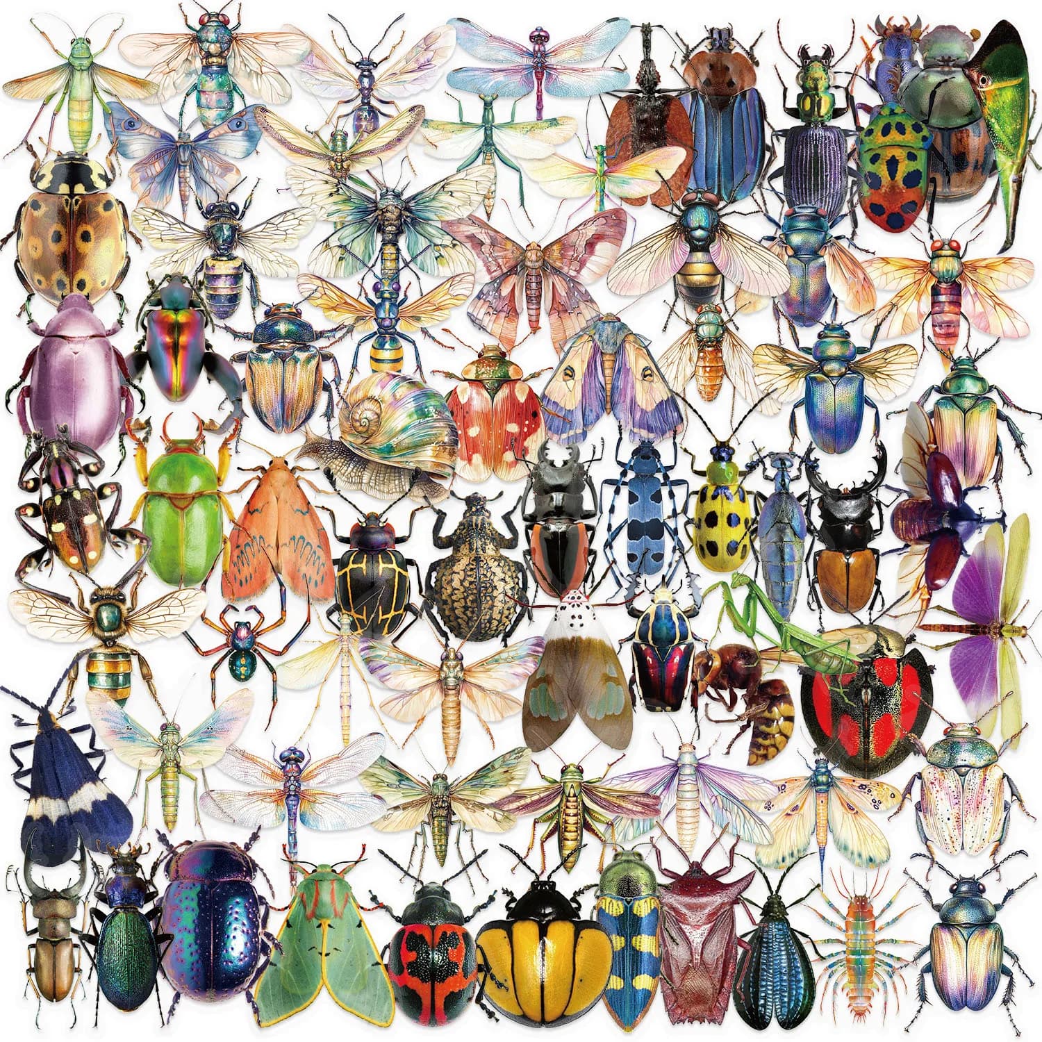 100pcs Colorful Cartoon Insect Dragonfly Stickers DIY Decoration Water Bottles Phone Children Notebook Transparent PET Sticker