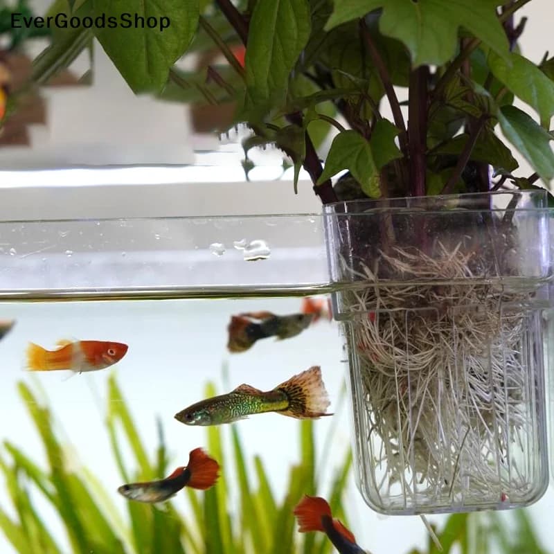 Aquarium Plant Holder Transparent Hanging Pot for Fish Tank Aquatic Plant Cultivation Aquascape Decorations Planter Holder Cups
