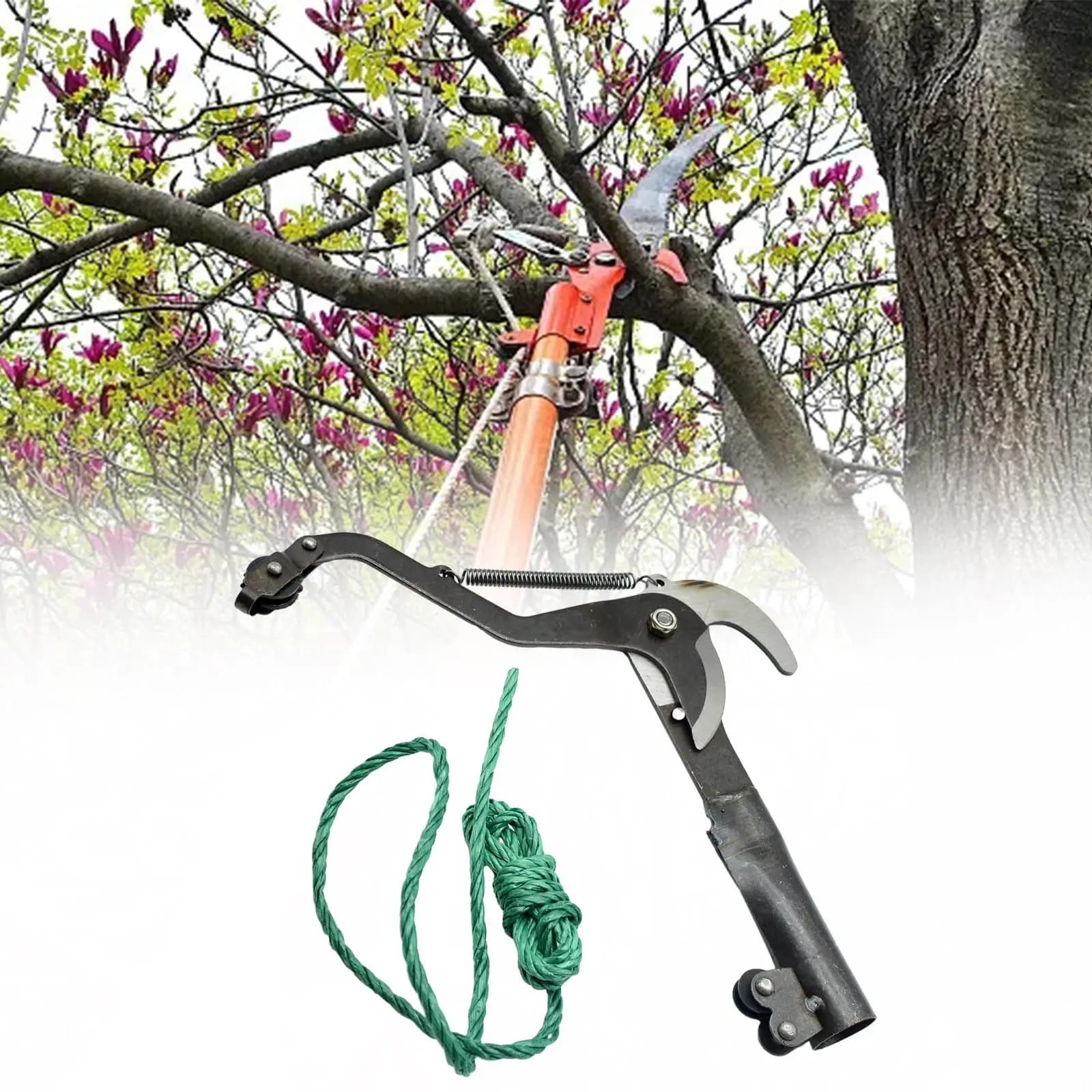 Forbici per Potatura ad Alta Quota, Cesoie per Rami d'Albero per Giardinaggio e Agricoltura