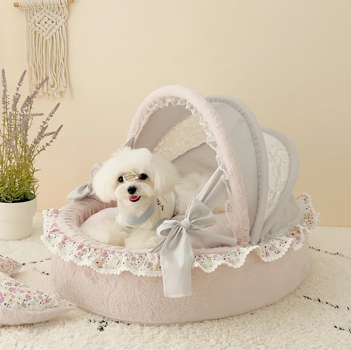 Cuccia per animali domestici con cucciolo di cotone cuccia per gattini-divano per animali domestici, cuccia per cuccioli con cuscino per cani, Morandi Beige