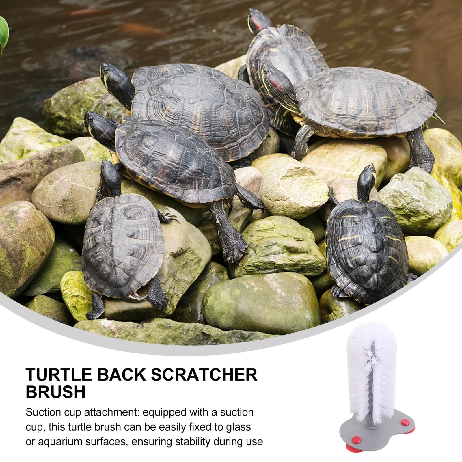 Reusable Tartarus Cleaning Brush with Soft and Suction cups Mountable on Glass Surfaces, Ideal for the care of Aquatic and Terrestrial Turtles