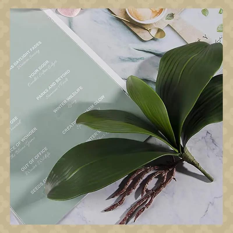 AB45 Orchidee Phalaenopsis Artificial Root leaves with real appearance Latex contact plants Provision of green fake leaves, 12 PZ