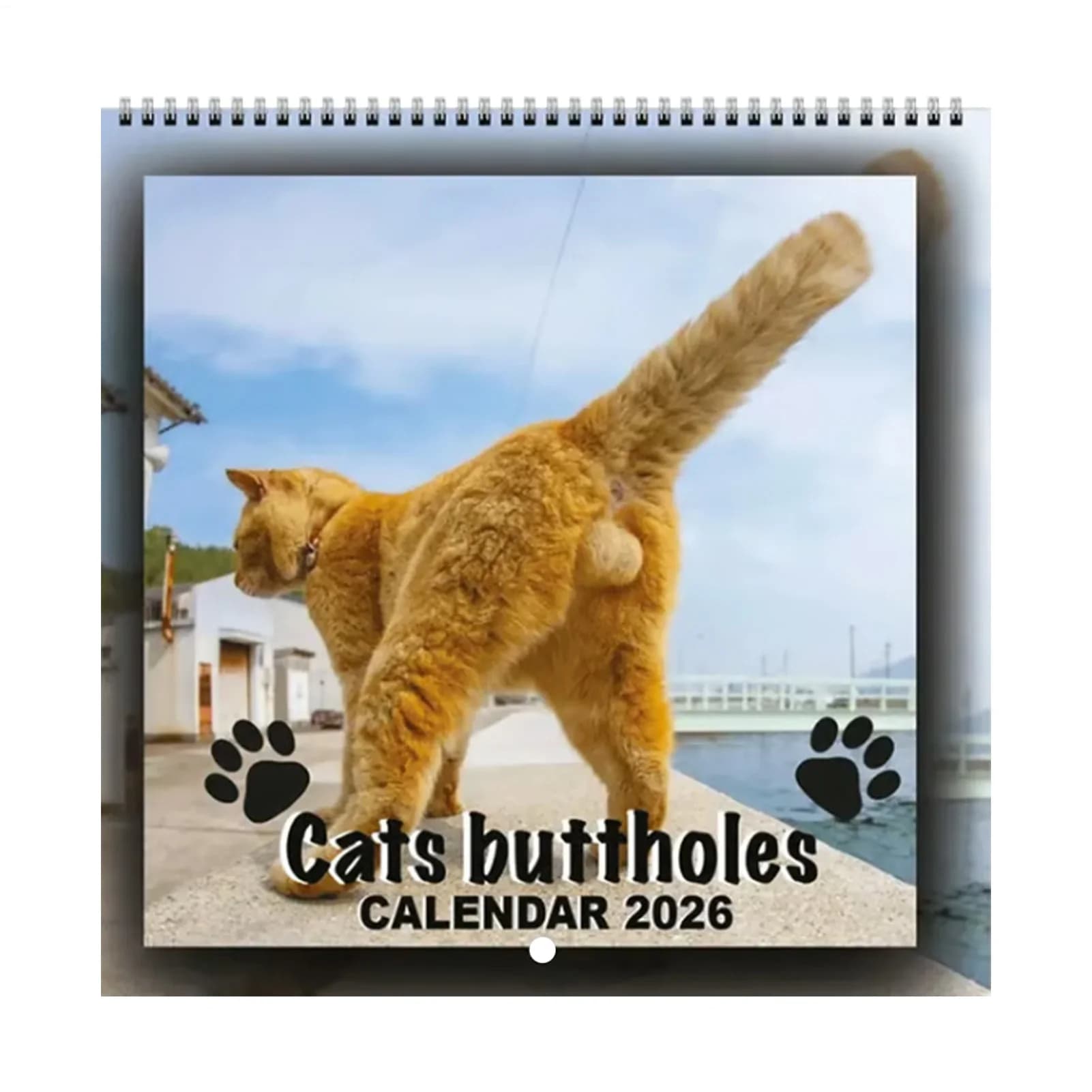 2026 Calendario da parete Gatti divertenti Calendario 2026 Pianificatore mensile Organizzatore Strumento di pianificazione per scrivania Camera da letto Desktop Frigo Soggiorno