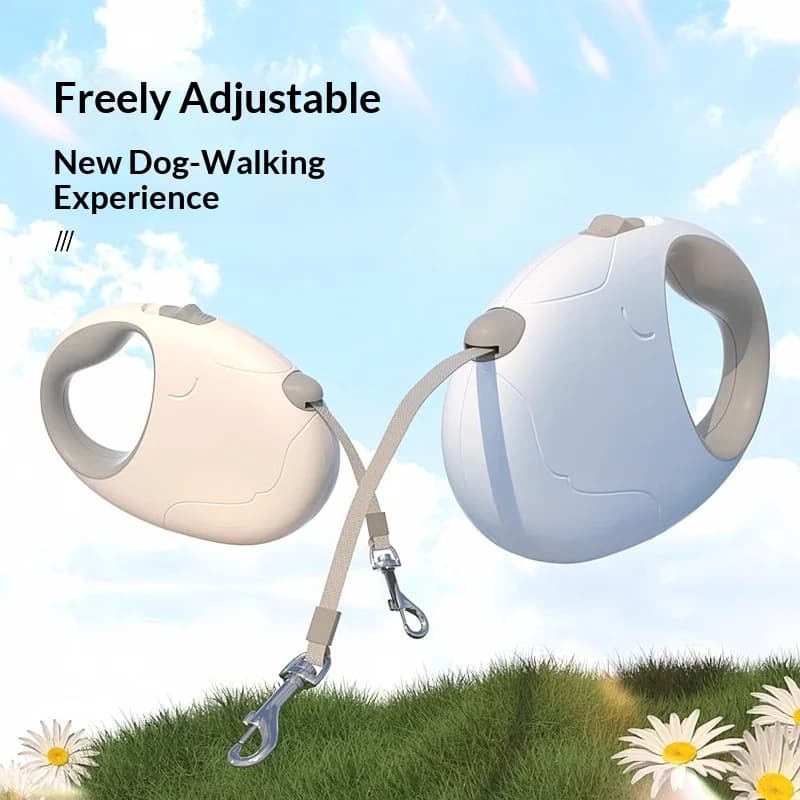 Guinzaglio per cani Guinzaglio retrattile automatico per cani Catena per cani di taglia media e piccola per passeggiate con cani di piccola taglia Cucciolo Teddy Bigbear Solo per animali domestici