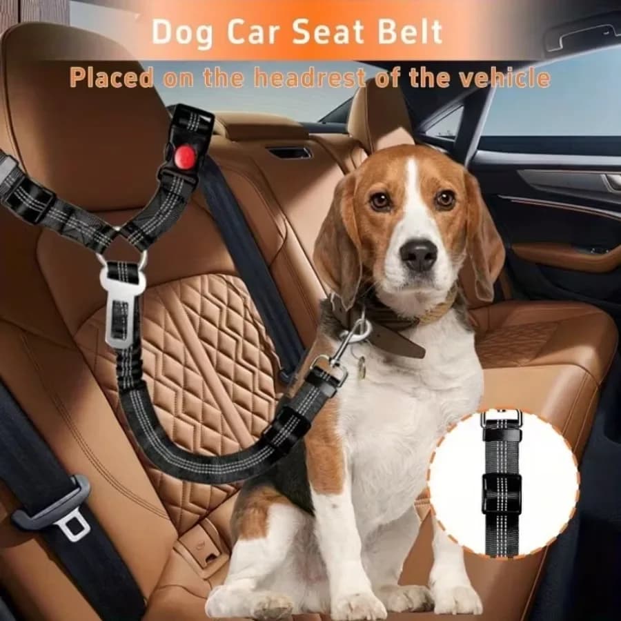 1pc Pratica corda portatile nera per il fissaggio degli animali domestici in auto, che limita efficacemente il movimento degli animali domestici per viaggi all'aperto