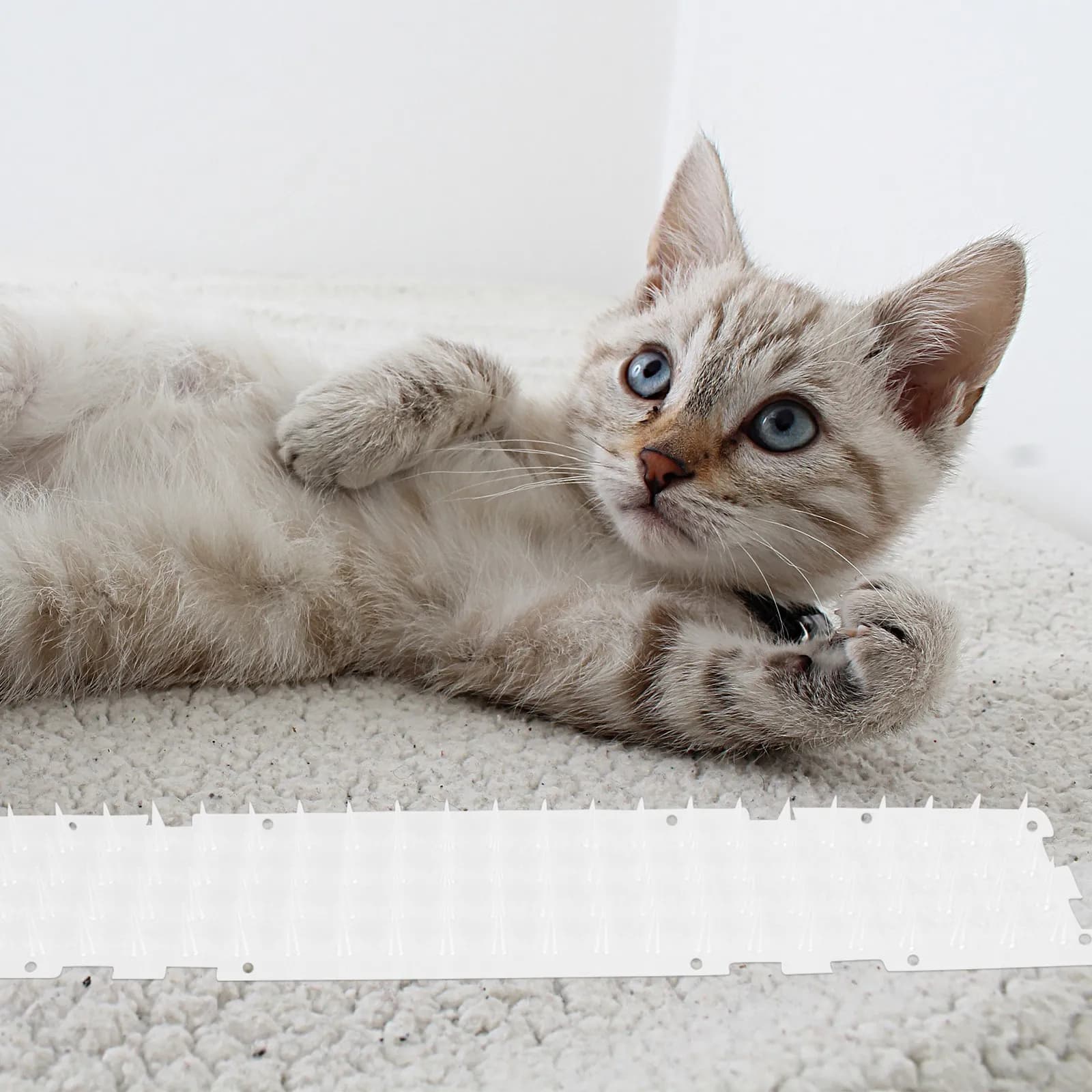 10 Pezzi Tappetino Anti-Gatto con Punte in Plastica, Soluzione Dissuasiva per Divani, Giardini, Aiuole, Alberi, Interni ed Esterni