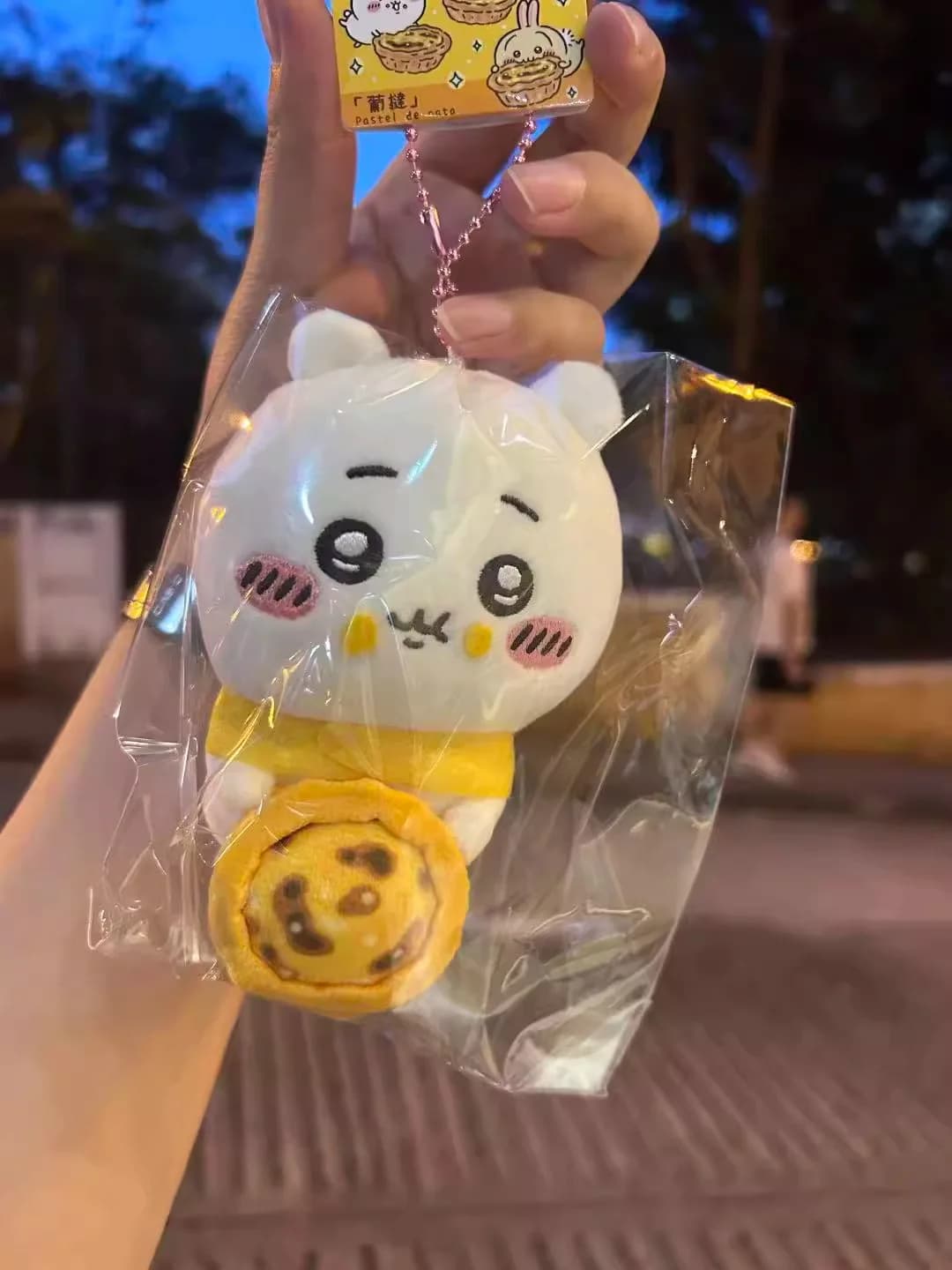 Ciondolo in peluche Chiikawa, piccola bambola Usaqi Jiyi, simpatica bambola Kawa, ciondolo per borsa, portachiavi, decorazione per borsa, piccolo ciondolo