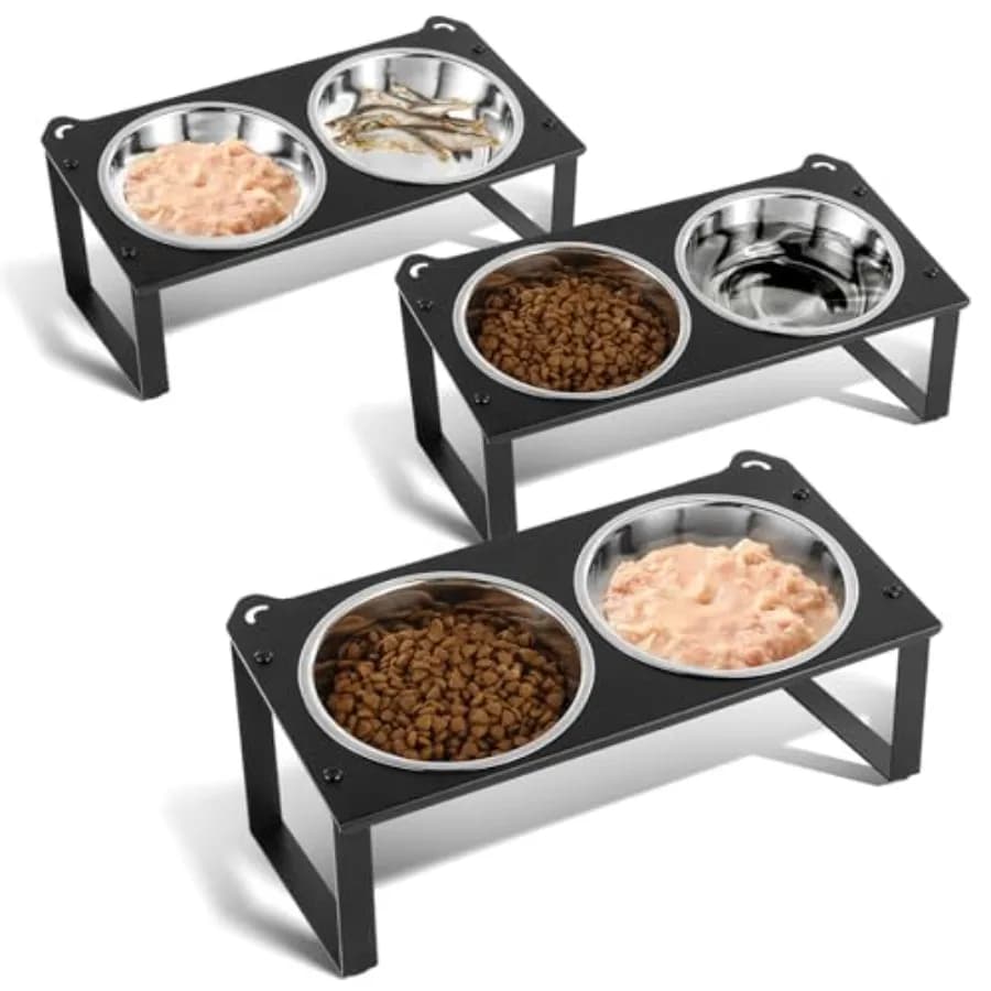 3 Set Elevated Cat Food Water Bowls, 6 Stainless Steel Bowls for Indoor Pet with Cute Metal Stand, 10° Tilted Anti-Vomiting Rai