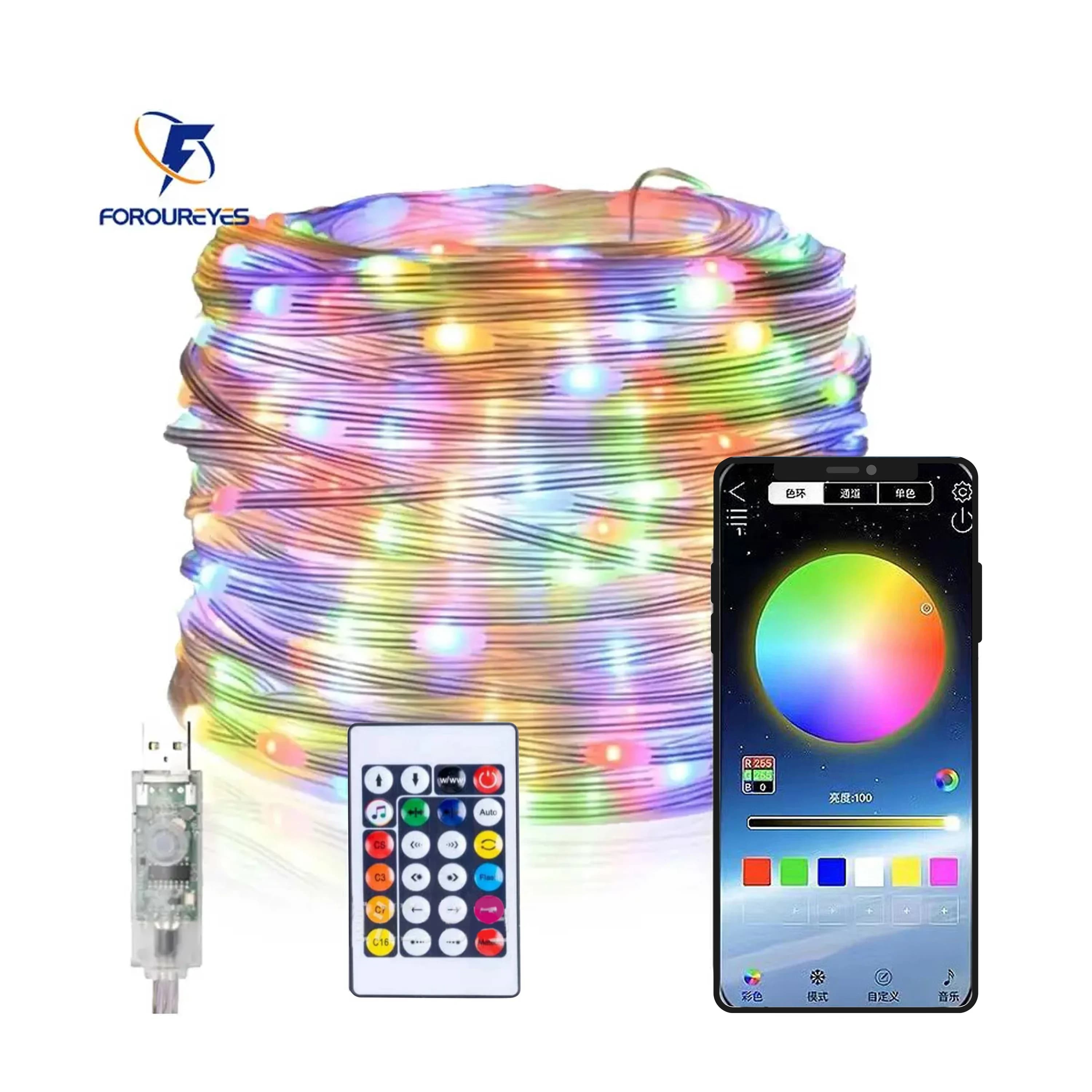 5m 10m 20m Fata Luci a Led USB Dream Color Smart String Light Controller APP remoto per la decorazione dell'albero di Natale di nozze