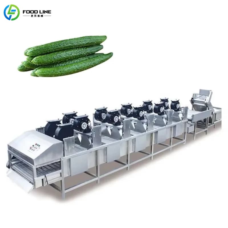 Customized Continuous Tape Dryer for Fruit and Vegetables, Stainless Steel Air Drying Device