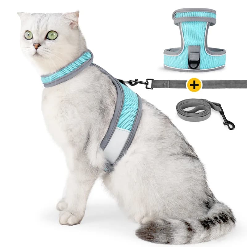Collari per gatti con gancio e anello Set da trasporto per animali domestici Pettorina per gatti Ventilazione antiscivolo antiscivolo con striscia riflettente