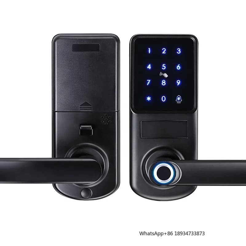 Password chiave per impronte digitali a batteria manuale Tuya Smart Lock per esterni Serrature per porte senza chiave Wifi