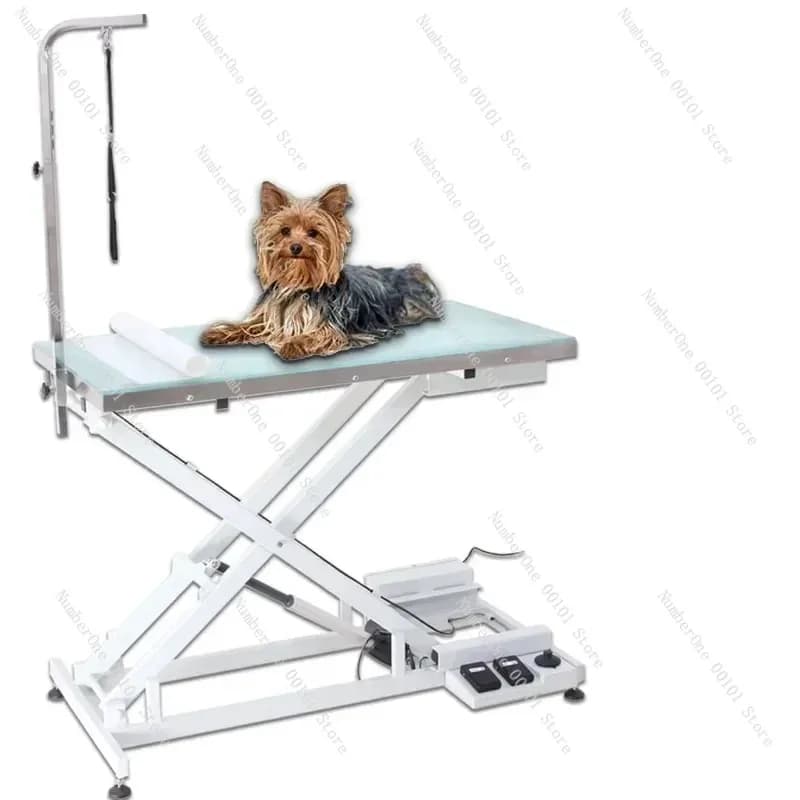 Aeolus Professional Electric Grooming Table with LED Lighting Stainless Steel Lift for Dog Show Pet Salon