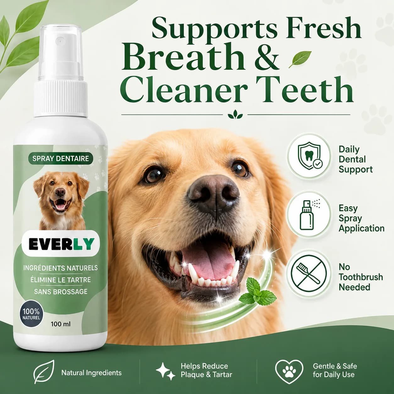 Dog Dental Care Spray 100ml,No-Brushing Oral Hygiene Spray - Natural Breath Freshener,Alcohol-Free Plant-Based Dental Cleaning