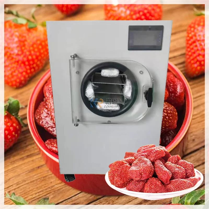 Macchine secche per liofilizzazione sottovuoto da 6-8 kg Mini essiccatore per frutta e verdura in vendita
