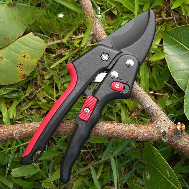 Gardening scissors SK5 Shelf shears Sweatshirt for jumping Stainless steel blades Portable garden scissors Plant shears