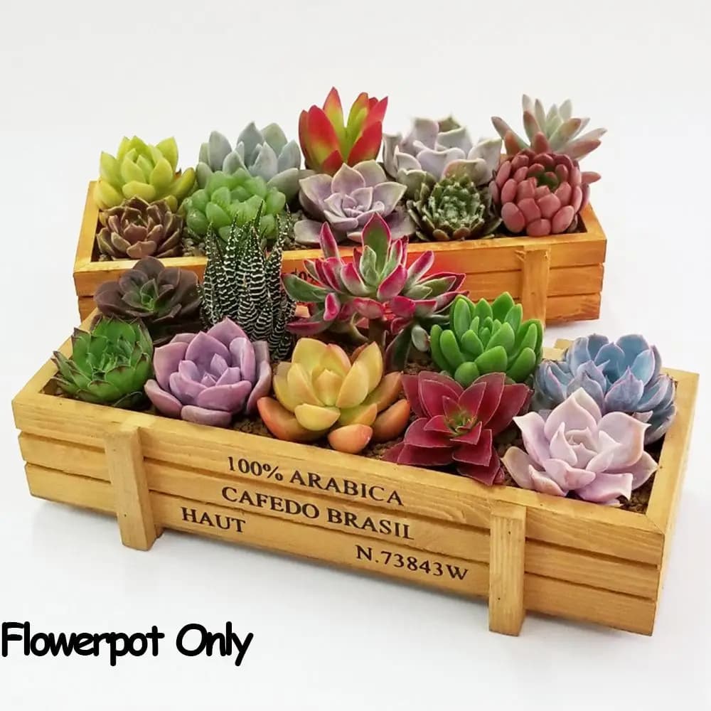 1 PC Instruments Garden decoration Decorative jars Boxes for oily plants Rectangular vase Vintage boxes Wooden flower vase
