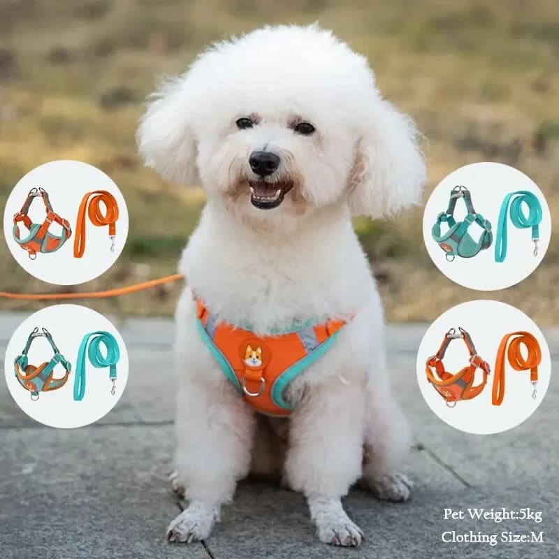 Pet Booteely Pettorina pettorale in pelle scamosciata Gilet per cani e gatti Guinzaglio riflettente retrattile per piccole luci e convenienti