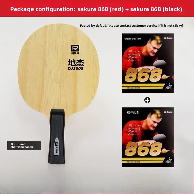 Set di racchette da ping pong Ruikete DJ200A S, tipo allenamento, racchette adesive fai-da-te per bambini principianti