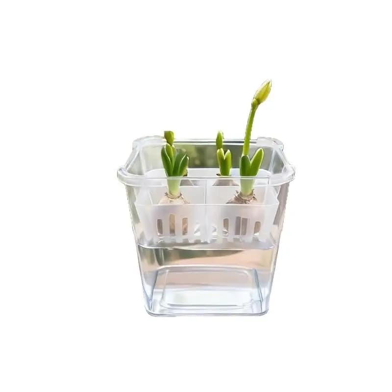 Nuovi Contenitori con Cestello di Supporto Traspirante, Vaso Idroponico per Semi di Tulipano, Vaso per Fiori Senza Terra a 4 Fori, Decorazione per la Casa