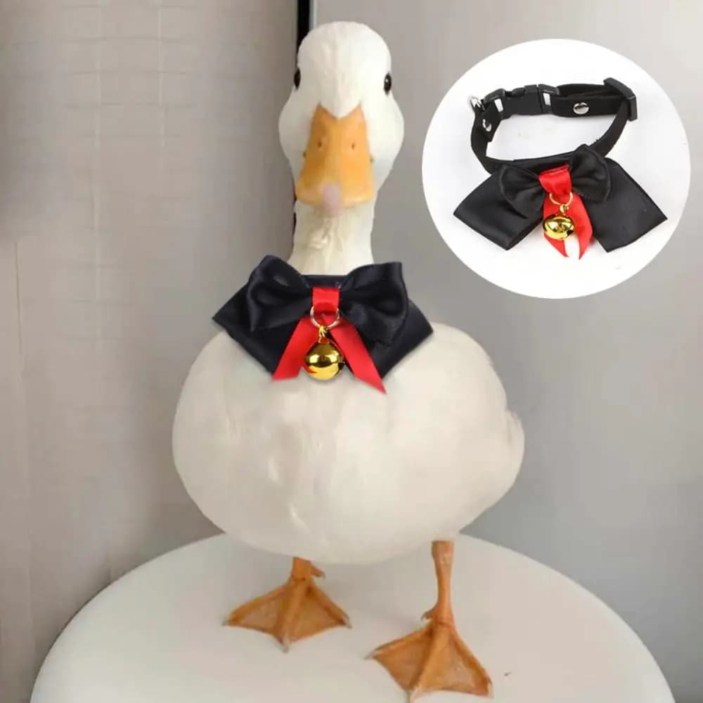 Collare per Animali Domestici Creativo e Pratico, Papillon Regolabile Durevole per Uccelli con Fibbia, Collana Artigianale a Forma di Oca, Accessori per la Toelettatura degli Uccelli