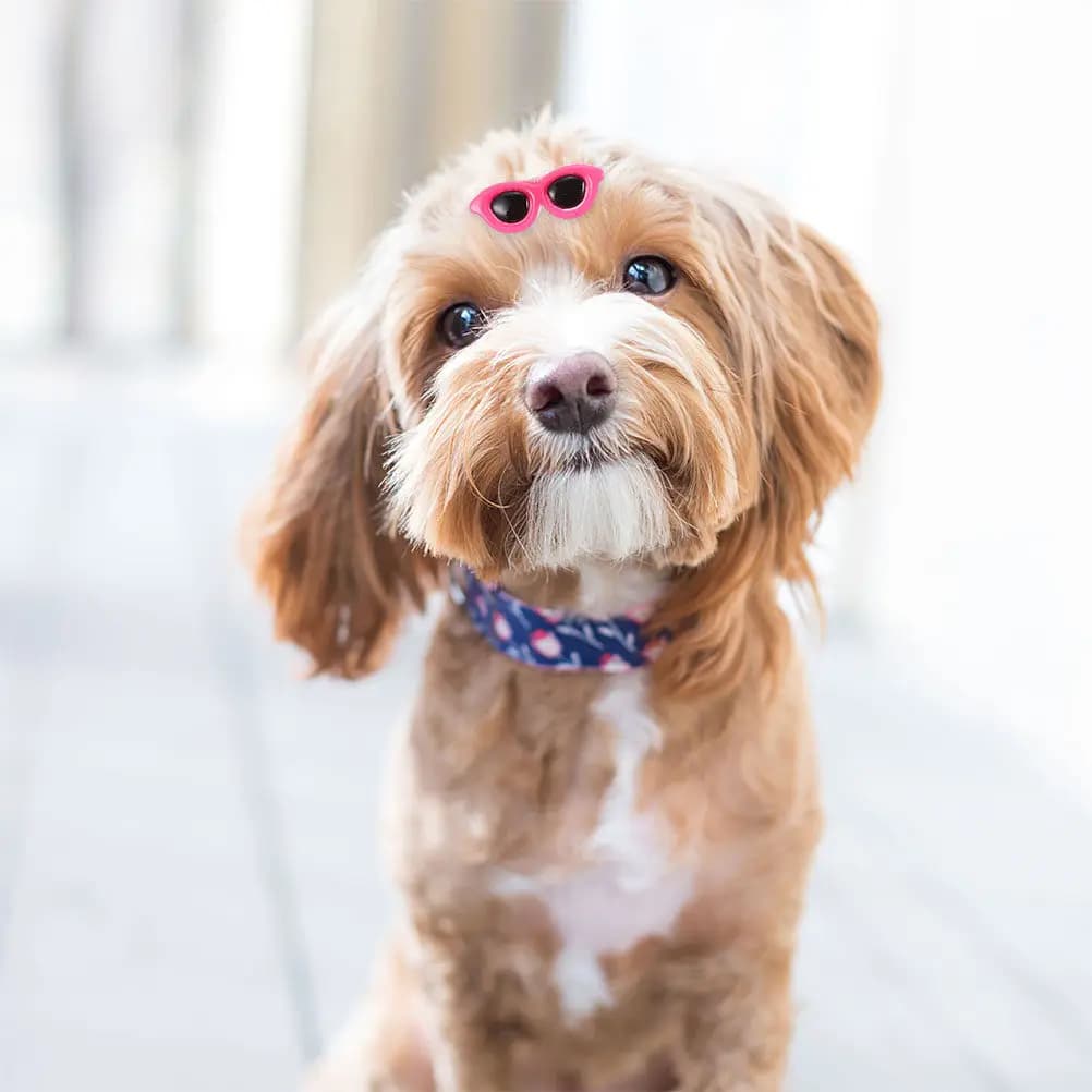 15Pcs Dog Cat Puppy Hair Clips Sunglass Design Pet Hairpin Stylish Shape Keeper Gift for Pet Lovers Daily Activity