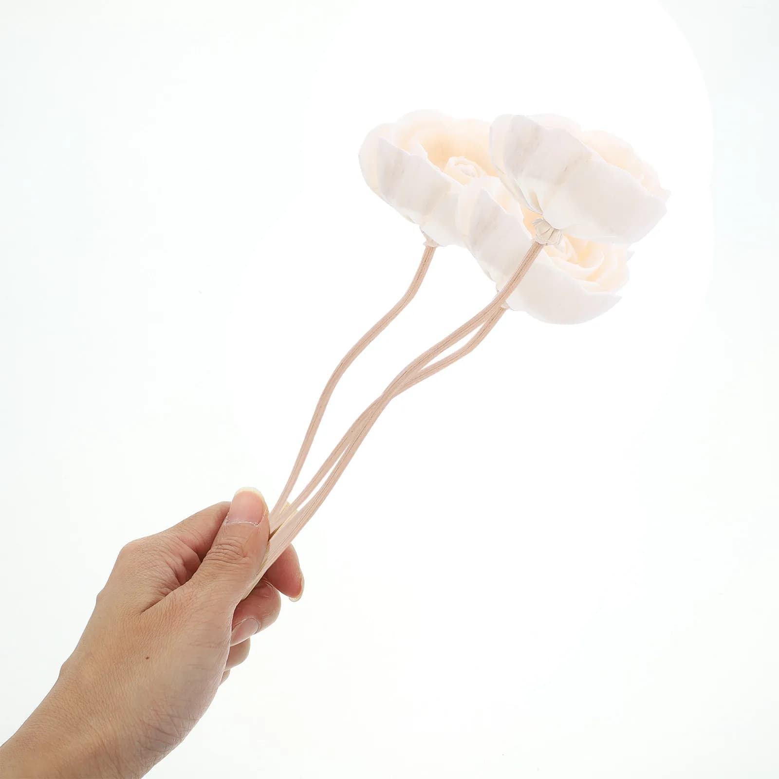 10Pcs Reed Diffuser Sticks Dried Flower Aroma Sticks for Home Office Essential Oil Diffuser Aroma Bottle Accessory