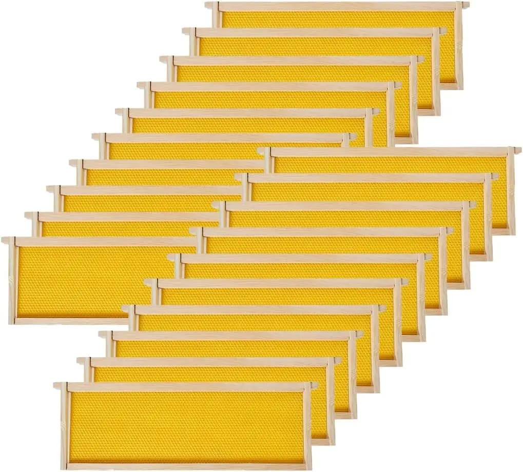 Pack of 20 Medi Telai for Arnia with Fondamenta Cerate, Wood Telai for Arnie Langstroth, 6-1/4 Yellow Pollici