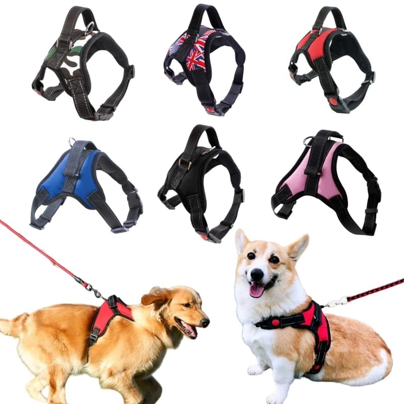 Imbracatura per Cani Piccoli, Medi e Grandi, Robusta Imbracatura a Gilet per Cani, Accessori per Golden Retriever e Chihuahua