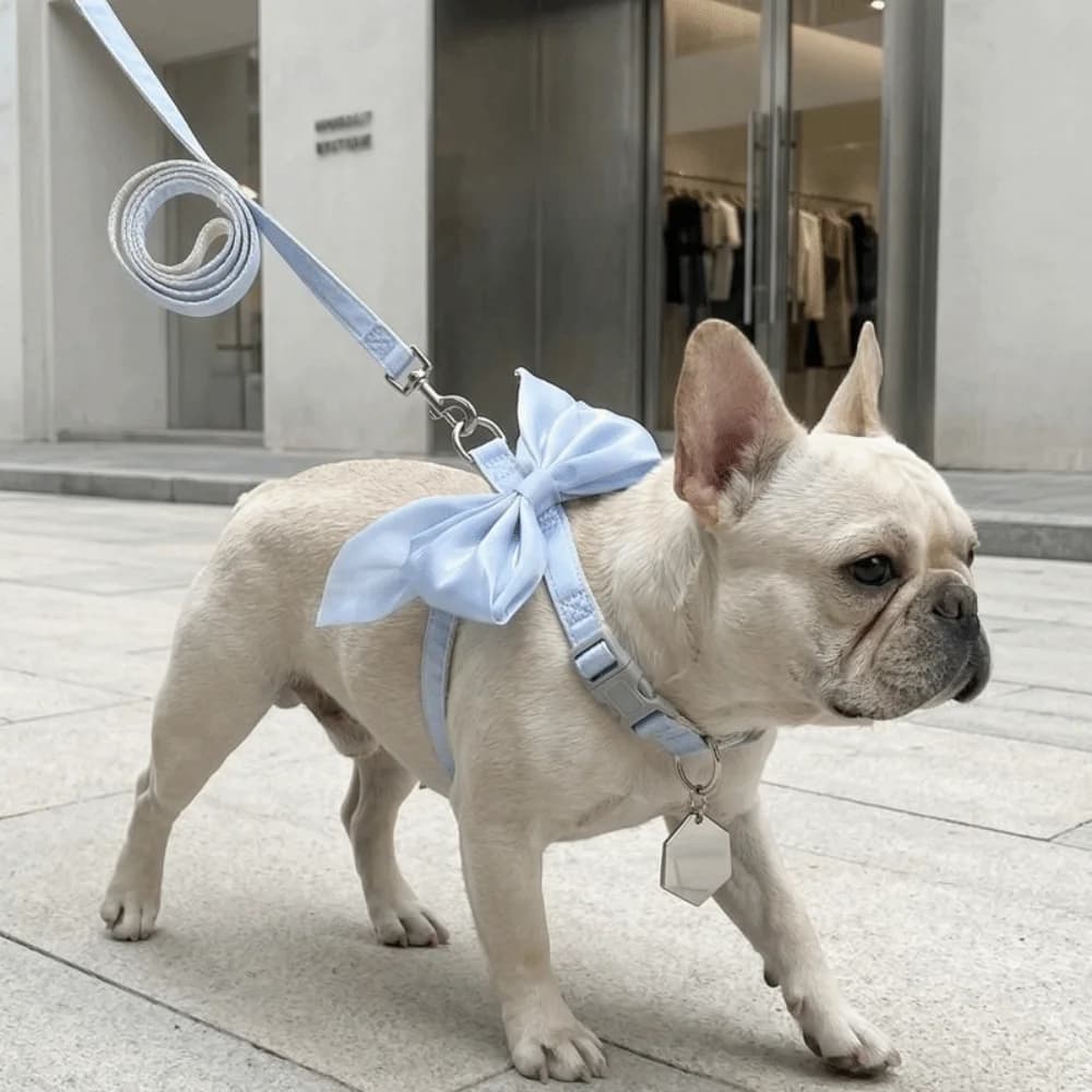 Accessori per Animali Domestici: Pettorina Regolabile Anti-Fuga con Fiocco Carino, Guinzaglio per Gatti, Comoda e Traspirante, per Cani, da Viaggio