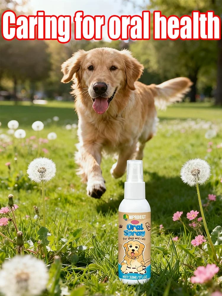 Gentle oral cleanser for pets: refresh breath and support dental well-being