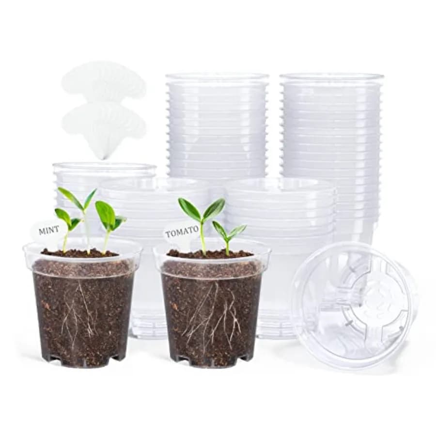 Plant vases, Plastic containers for Semina with draining holes, High transparency for Flowers and Semenzai