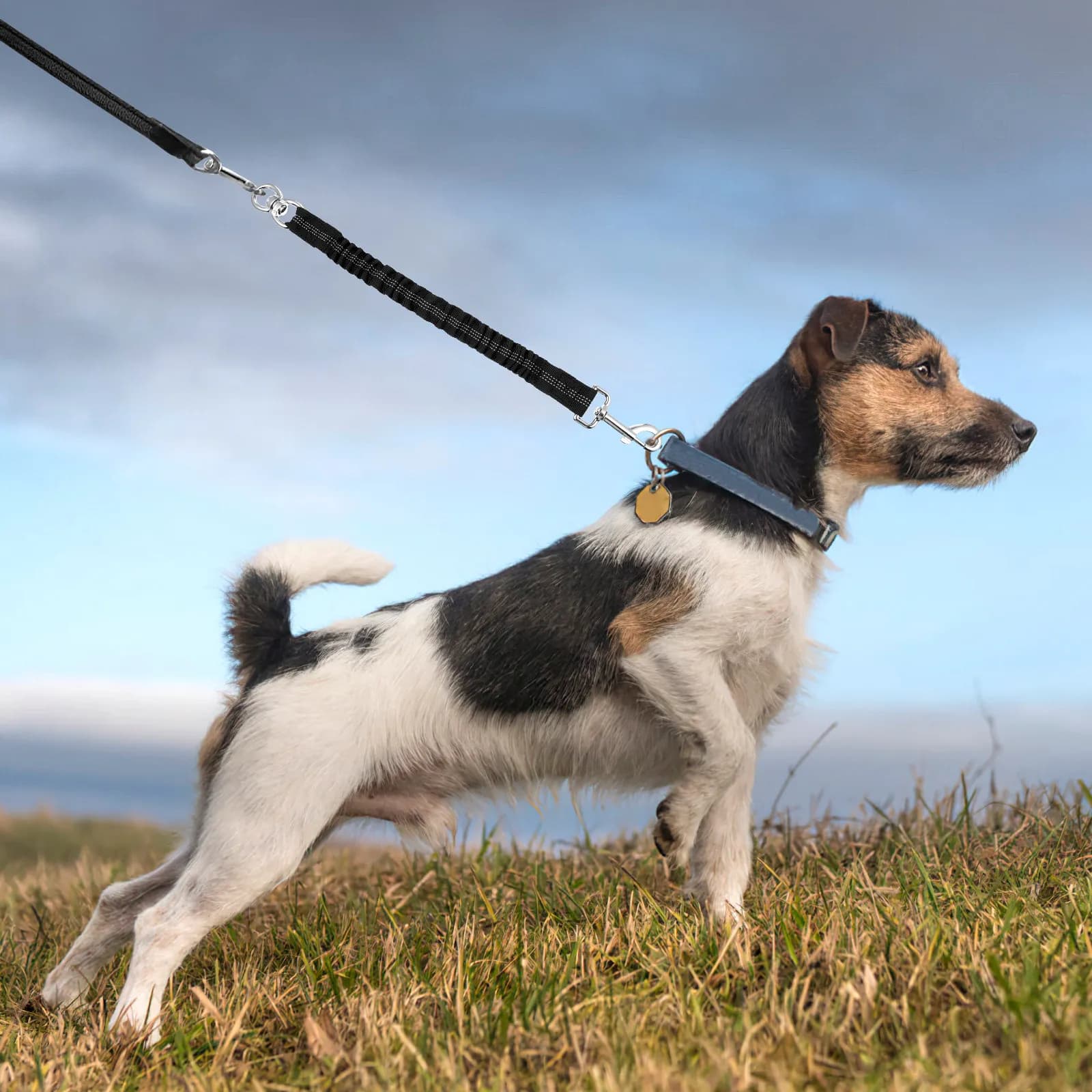 Guinzaglio per Cani Riflettente Intrecciato Confortevole, Corda Elastica Resistente in Nylon per Passeggiate, Corsa, Jogging, Escursionismo, Campeggio