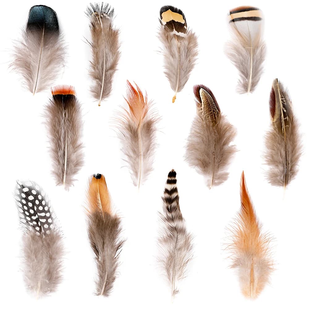 Wholesale 12 Styled Natural Feathers Assorted Mixed Feathers for Jewelry and Dream Catcher Crafts Decoration