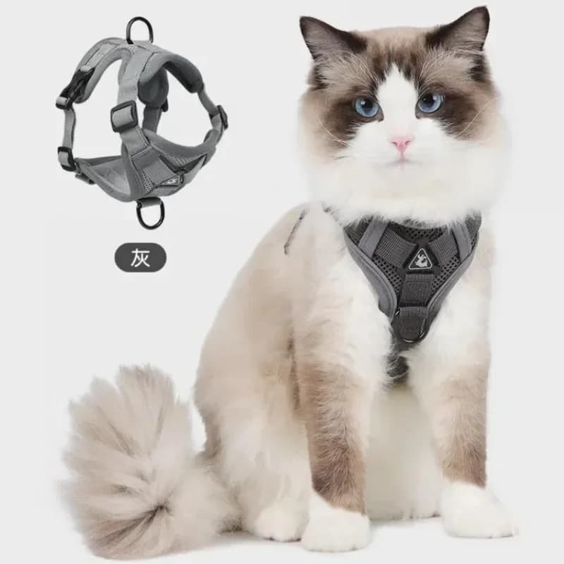 Set di Pettorina e Guinzaglio Riflettente alla Moda per Gatti, Pettorine Traspiranti in Rete per Cani Piccoli, Gatti e Gattini, Accessori per Gatti