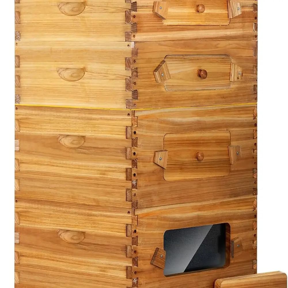 Kit Alveare Langstroth from 10 frames: windows, covered in wax with frames and foundations (2 deep + 2 medium)