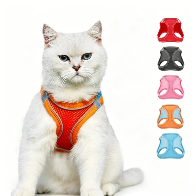 Set Pettorina e Guinzaglio per Animali Domestici, Guinzaglio Riflettente in Rete per Cani, Accessori Espandibili per Cani e Gatti, Comodi e Resistenti